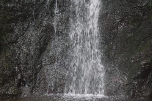 滝 滝の写真