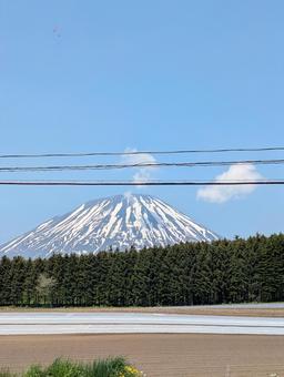 羊蹄山 羊蹄山の写真