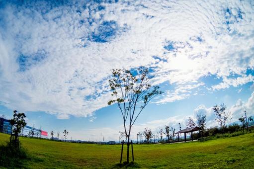 空 #13 空 #13の写真