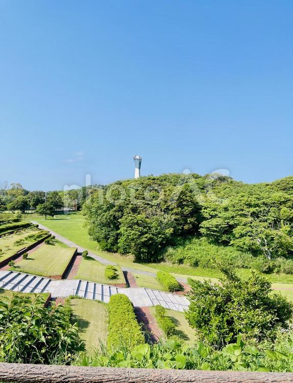 三崎公園 福島県,いわき市,小名浜の写真素材