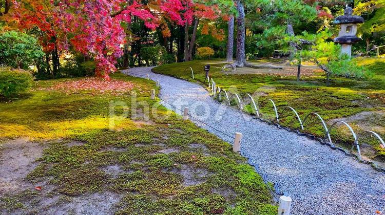 秋の奈良公園・日本庭園「吉城園」紅葉の季節（石畳の小径） 秋,日本庭園,吉城園の写真素材