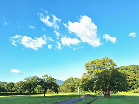夏空 夏空の写真