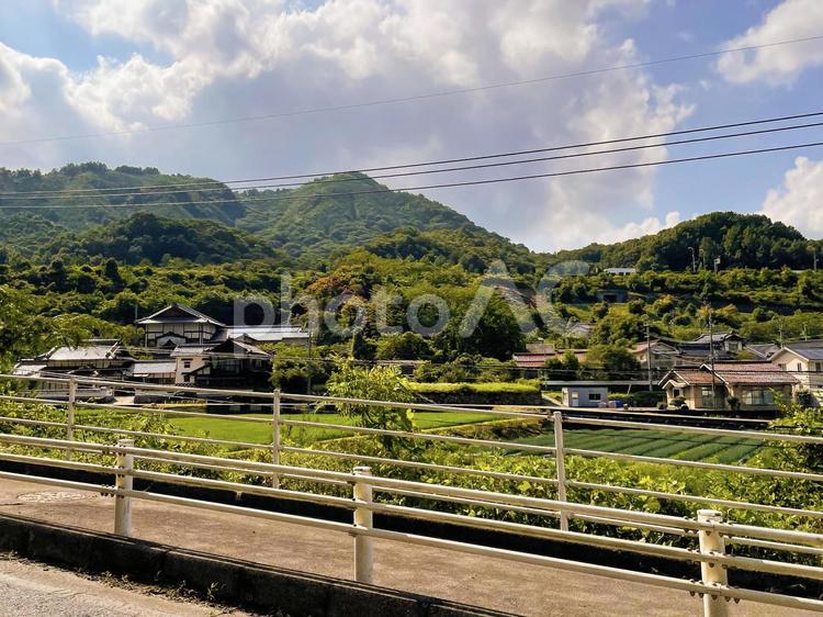あの夏の日 田舎,懐かしい,電柱の写真素材