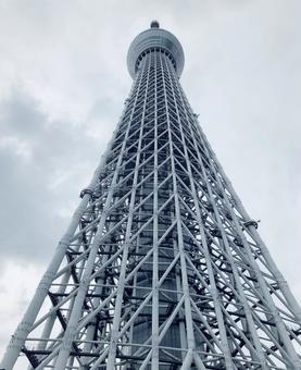 下からのスカイツリー スカイツリー,電波塔,鉄塔の写真素材