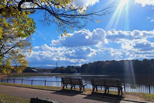 池のほとり 池のほとり,公園,セカンドライフの写真素材