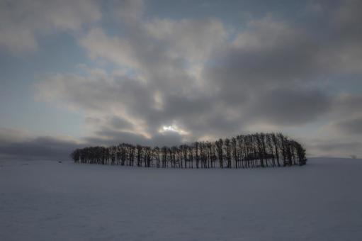 日が昇る広大な雪原と林のある丘の景色 光,日の出,雪原の写真素材
