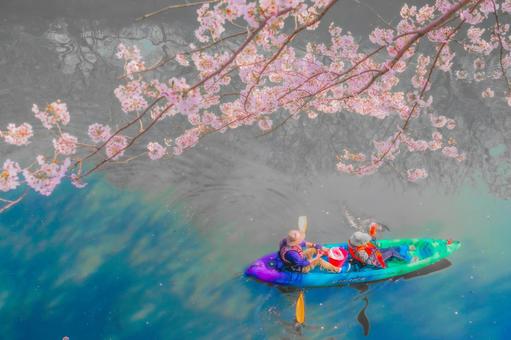 桜とカヌーの春景色 カヌー,桜,川の写真素材