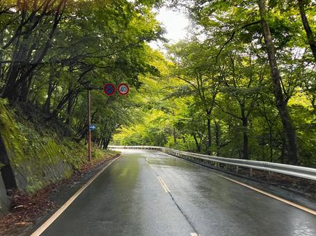 いろは坂1 いろは坂1の写真