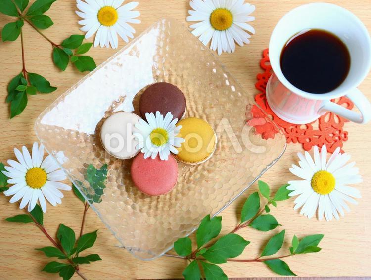 マカロンとコーヒーでティータイム マーガレット,花,フラワーの写真素材