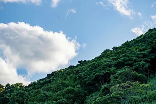 夏の青空と白い雲 夏の青空と白い雲 雲,青空,空の写真素材