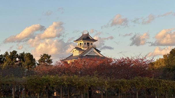 晩秋の夕暮れの長浜城 晩秋の夕暮れの長浜城 長浜城,日本の城,城の写真素材