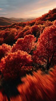 秋の夕暮れ:燃えるような赤の森 秋の夕暮れ:燃えるような赤の森の写真