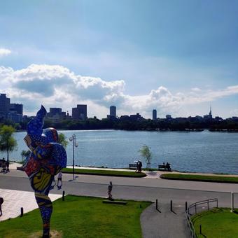 公園 公園 福岡,夏,風景の写真素材
