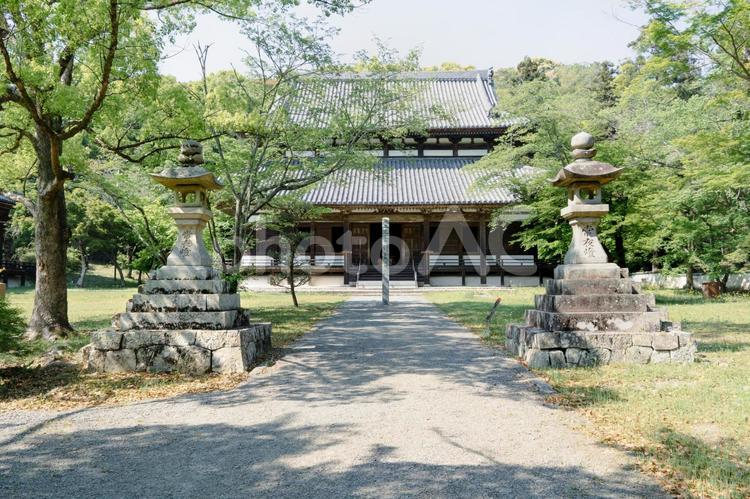 和歌山　根来寺　大伝法堂 根来寺,寺,和歌山県の写真素材