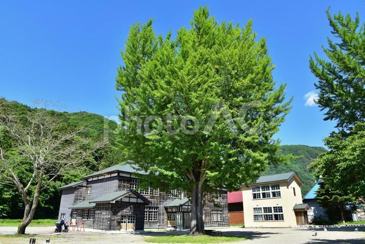 旧・喰丸小学校（福島昭和村） 木造校舎,レトロ,懐かしいの写真素材