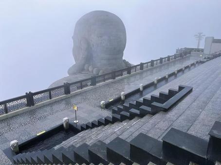 弥勒菩薩像の後ろ姿 弥勒菩薩像の後ろ姿 弥勒,菩薩,後ろ姿の写真素材