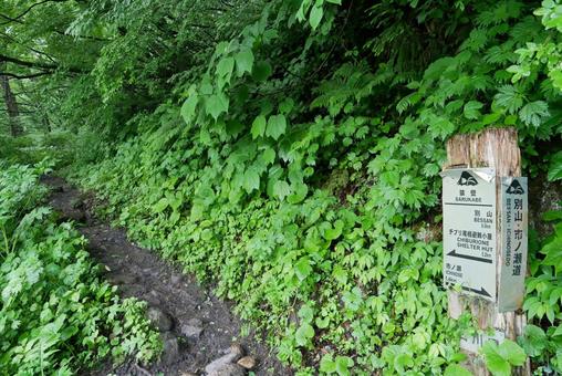 チブリ尾根登山口 白山,チブリ尾根,登山口の写真素材