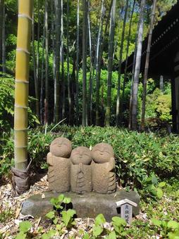 竹林に佇むお地蔵さん 竹林に佇むお地蔵さん お地蔵さん,地蔵,石像の写真素材