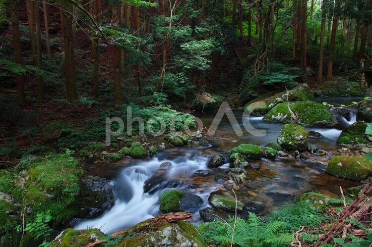 鏡野・白賀渓谷 白賀渓谷,渓谷,渓流の写真素材