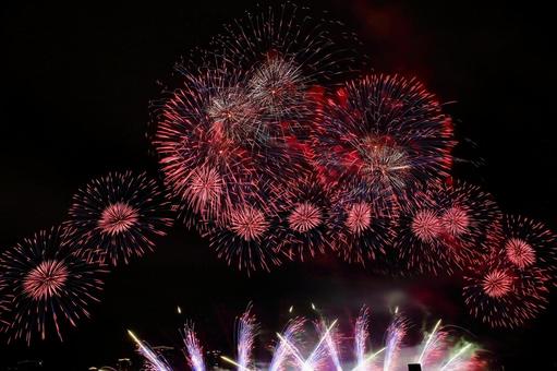 なにわ淀川花火大会2025 花火,打上花火,なにわ淀川花火大会の写真素材