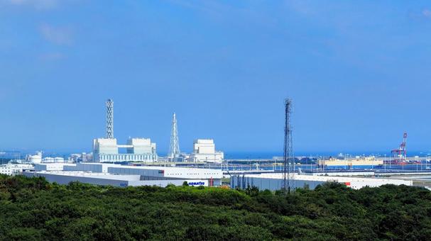 ひたち海浜公園・丘からの眺め・鹿島灘&森 ひたち海浜公園・丘からの眺め・鹿島灘&森の写真