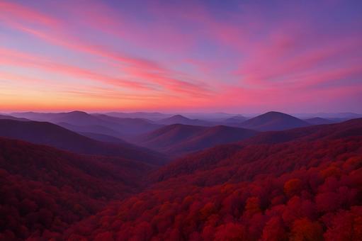 黎明の紅葉山波 黎明の紅葉山波の写真