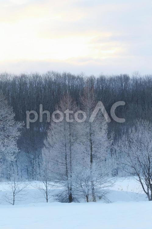 冬の北海道 冬,川,気嵐の写真素材