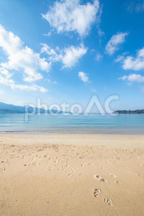 海岸の砂浜から眺める海 海,海岸,海岸沿いの写真素材