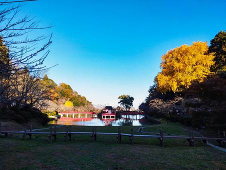 弁天湖の紅葉 紅葉,銀杏,茂原公園の写真素材