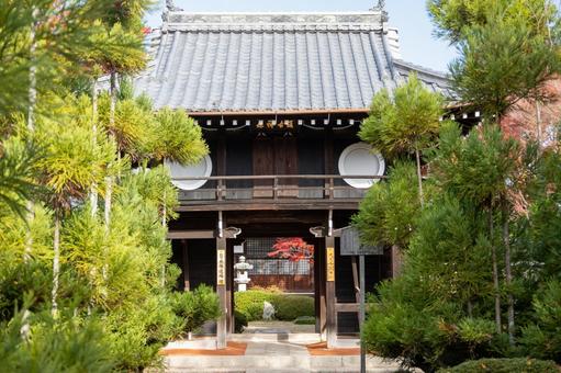 源光庵の建物 源光庵の建物 参道,まっすぐ,京都の写真素材