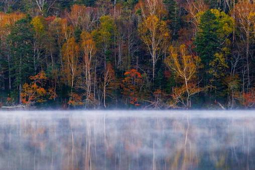 オンネトーの紅葉 オンネトーの紅葉 オンネトーの紅葉,オンネトー,紅葉の写真素材