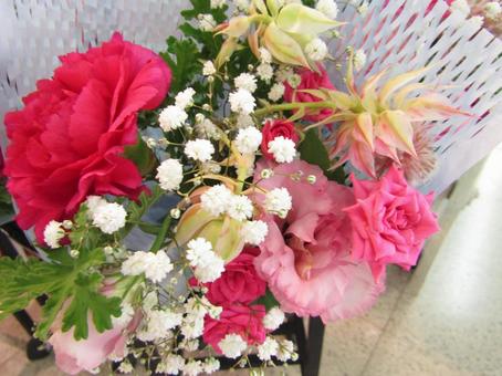 花 植物 花 植物の写真