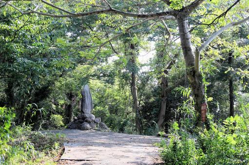 石碑 石碑 山の中,石碑,木漏れ日の写真素材