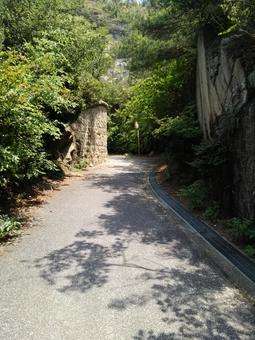 山道 山道の写真