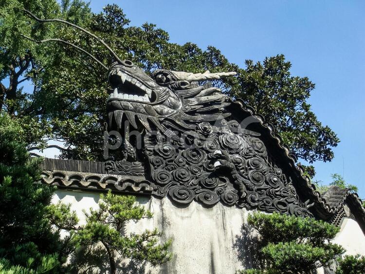 上海のお寺の竜 石像,竜,お寺の写真素材