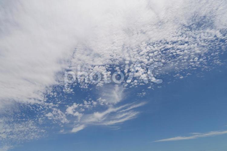 梅雨の合間の爽やかな空 空,テクスチャー,素材の写真素材
