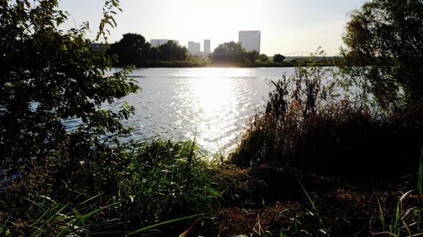 草むらと川とビルと夕暮れ前 草むらと川とビルと夕暮れ前の写真