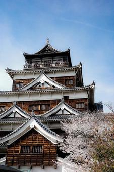 広島城 桜,広島城,春の写真素材