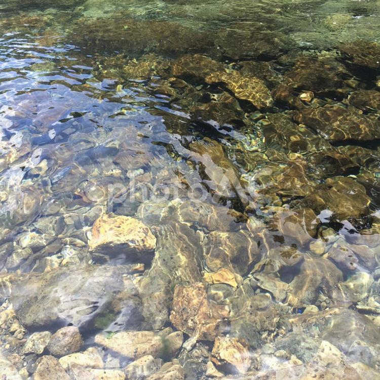 川底まで見渡せる、透き通った水 川,清流,渓流の写真素材