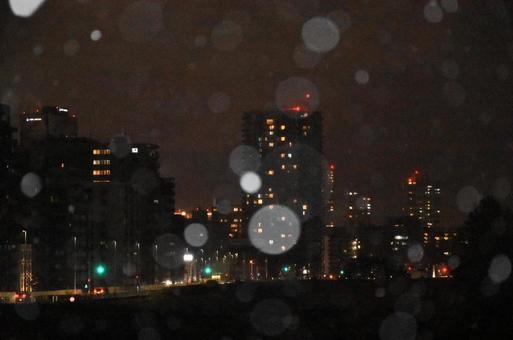 札幌の夜の街並の写真