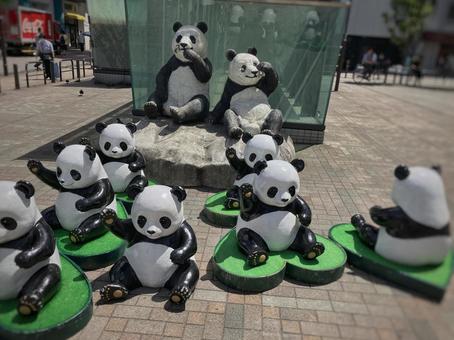 街中の癒しスポット・パンダ集合! 街中の癒しスポット・パンダ集合!の写真