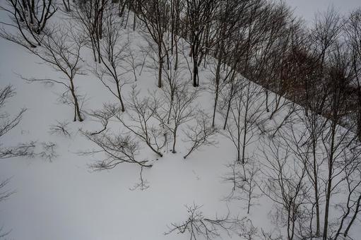 谷川岳ロープウェイから見た景色 谷川岳ロープウェイから見た景色の写真
