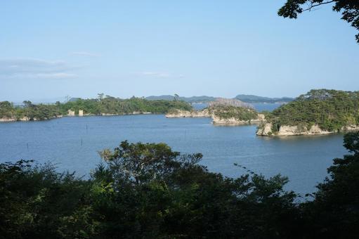松島 松島,日本三景,木の写真素材