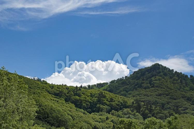 山から浮かび上がる夏雲 山,青空,雲の写真素材