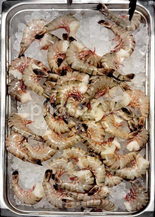 【養殖エビ】解凍ブラックタイガー エビ,海老,えびの写真素材