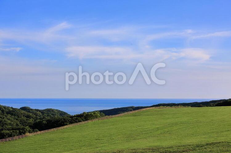 海の見える牧場 草,青,青空の写真素材