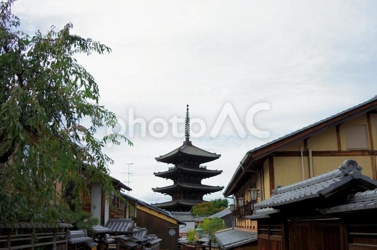 京都の五重の塔　法観寺 法観寺,五重の塔,清水寺の写真素材