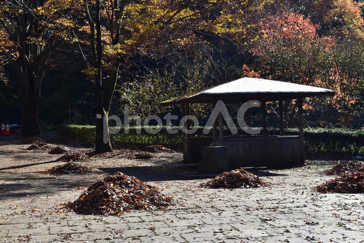 落ち葉の山と休憩所１ あき,おちば,かき集めるの写真素材