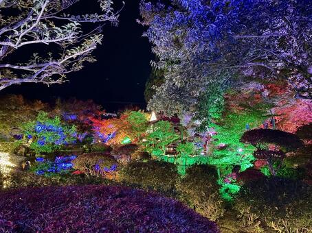 越前陶芸村　陶あかり　福井県陶芸館 福井,越前市,伝統工芸の写真素材