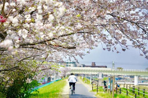 風景 風景の写真